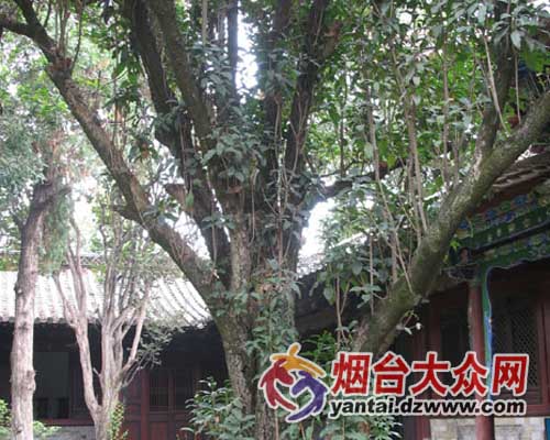 云南风光 云南建水文庙景观 延伸阅读