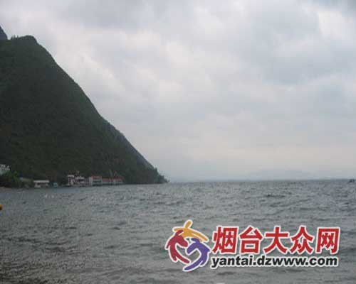 版权声明