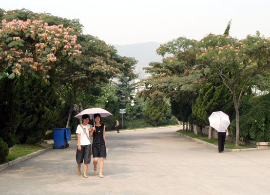 新闻首页 | 烟台时政 | 烟台生活