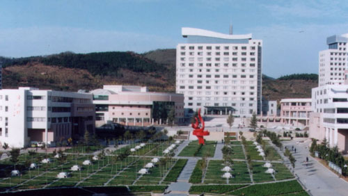 迈博国际app function i