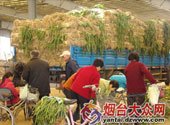 烟台风光 蓬莱又现平流雾奇观 延伸阅