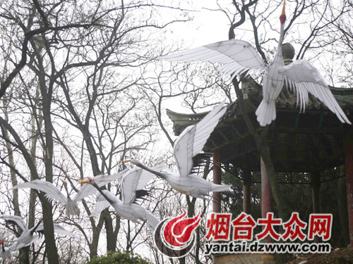 烟台新闻图片 “渤海翡珠”轮下水 延