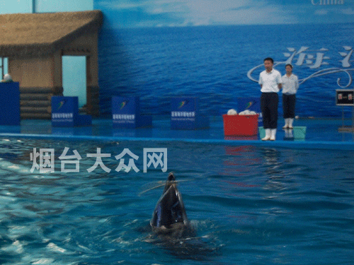 您的位置