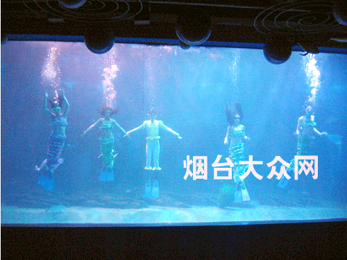 烟台风光 蓬莱海洋极地世界 延伸阅读