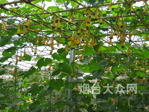 您的位置