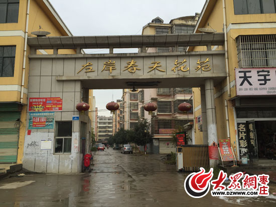 新闻热线
