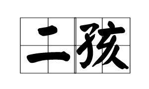 今后五年