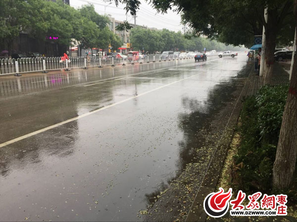 记者从市中交警大队获悉