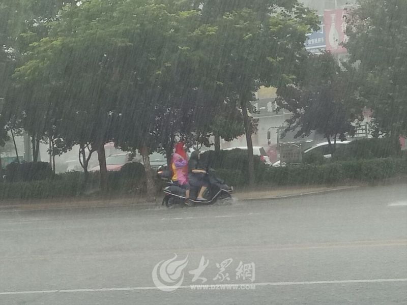 具体天气情况为