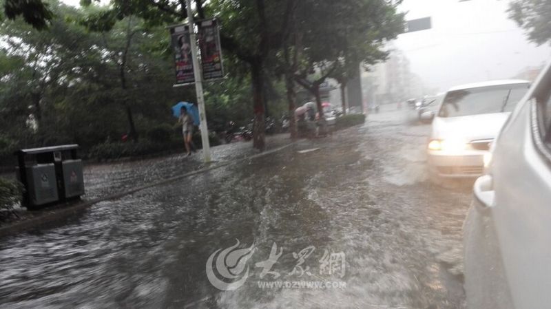 迈博国际app