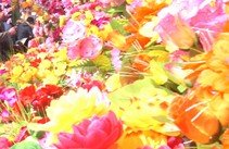 将为广大游客和当地居民呈上一盘丰盛.