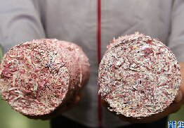 乌黑的皂角壳
