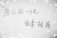 可先确认当前栏目名称