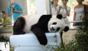 迈博国际app平台介绍主席