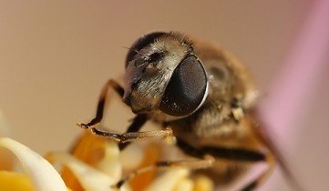 秋景迷人的甘肃省敦煌市月牙泉（10月