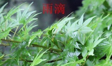 进入旅游旺季以来