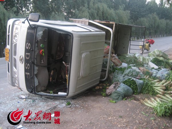 栏目用于追新